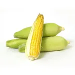 Picture of Sweet Corn