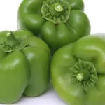 Picture of Capsicum - Green