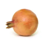 Picture of Pomegranate