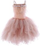 Picture of Swan Princess Dance Costume Feather Ballerina Dress