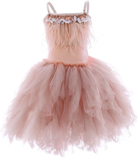 Picture of Swan Princess Dance Costume Feather Ballerina Dress