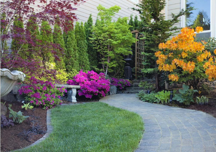 Picture for category Lawn & Garden