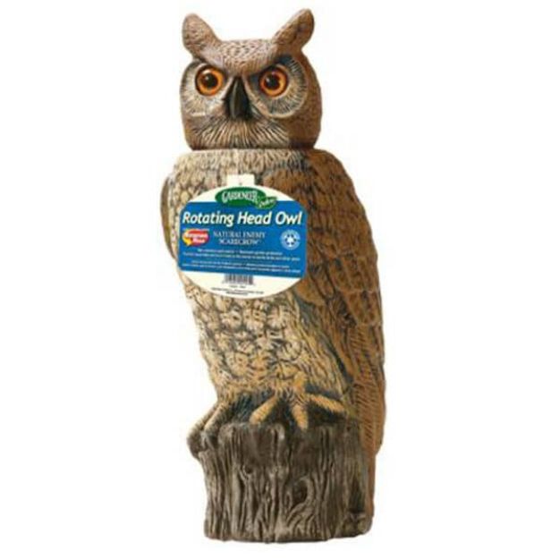 Picture of Owl Scarecrow with Rotating Head, Natural Predator, 18 Inches Tall